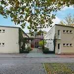 Strandflieder 204 *